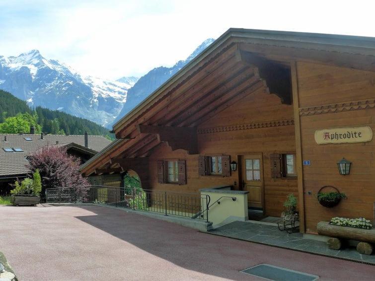Chalet Aphrodite Ost Lejlighed Grindelwald Eksteriør billede