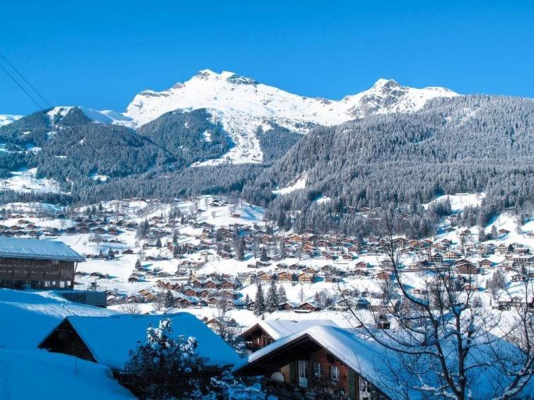Chalet Aphrodite Ost Lejlighed Grindelwald Eksteriør billede