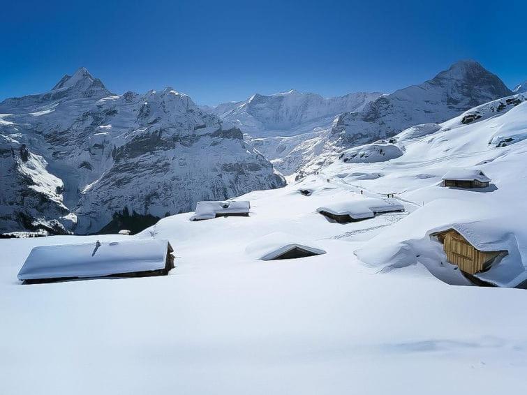 Chalet Aphrodite Ost Lejlighed Grindelwald Eksteriør billede